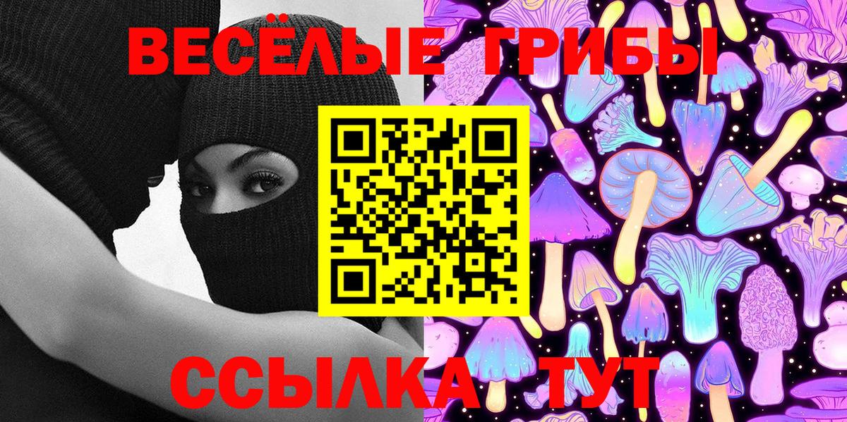 Галлюциногенные грибы Psilocybine cubensis Красноярск