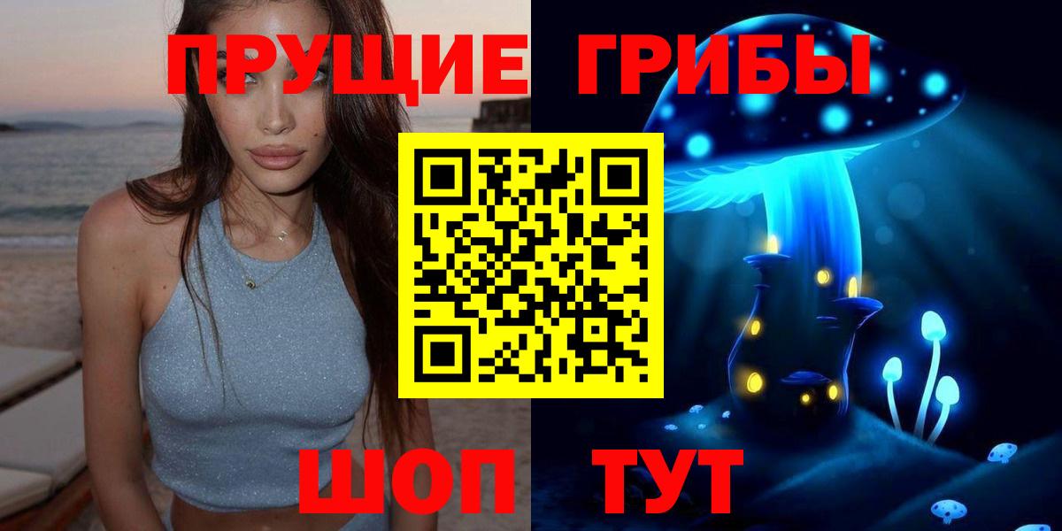 Красноярск  где можно купить   Вход с VPN  Псилоцибиновые грибы Psilocybe 